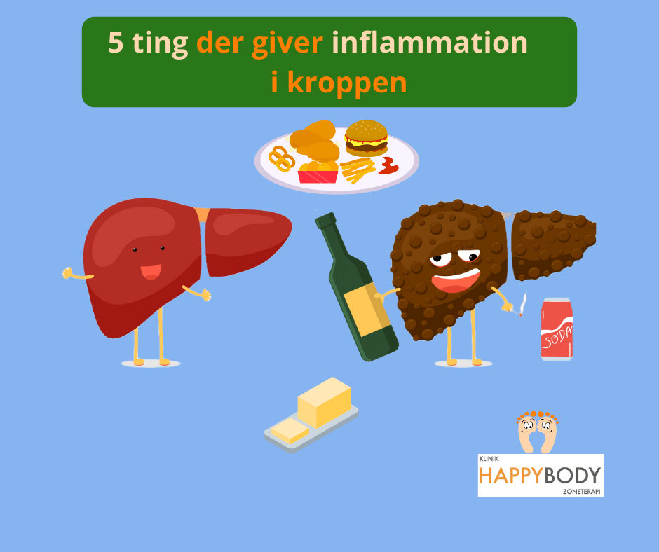 5 ting der giver inflammtioner i kroppen